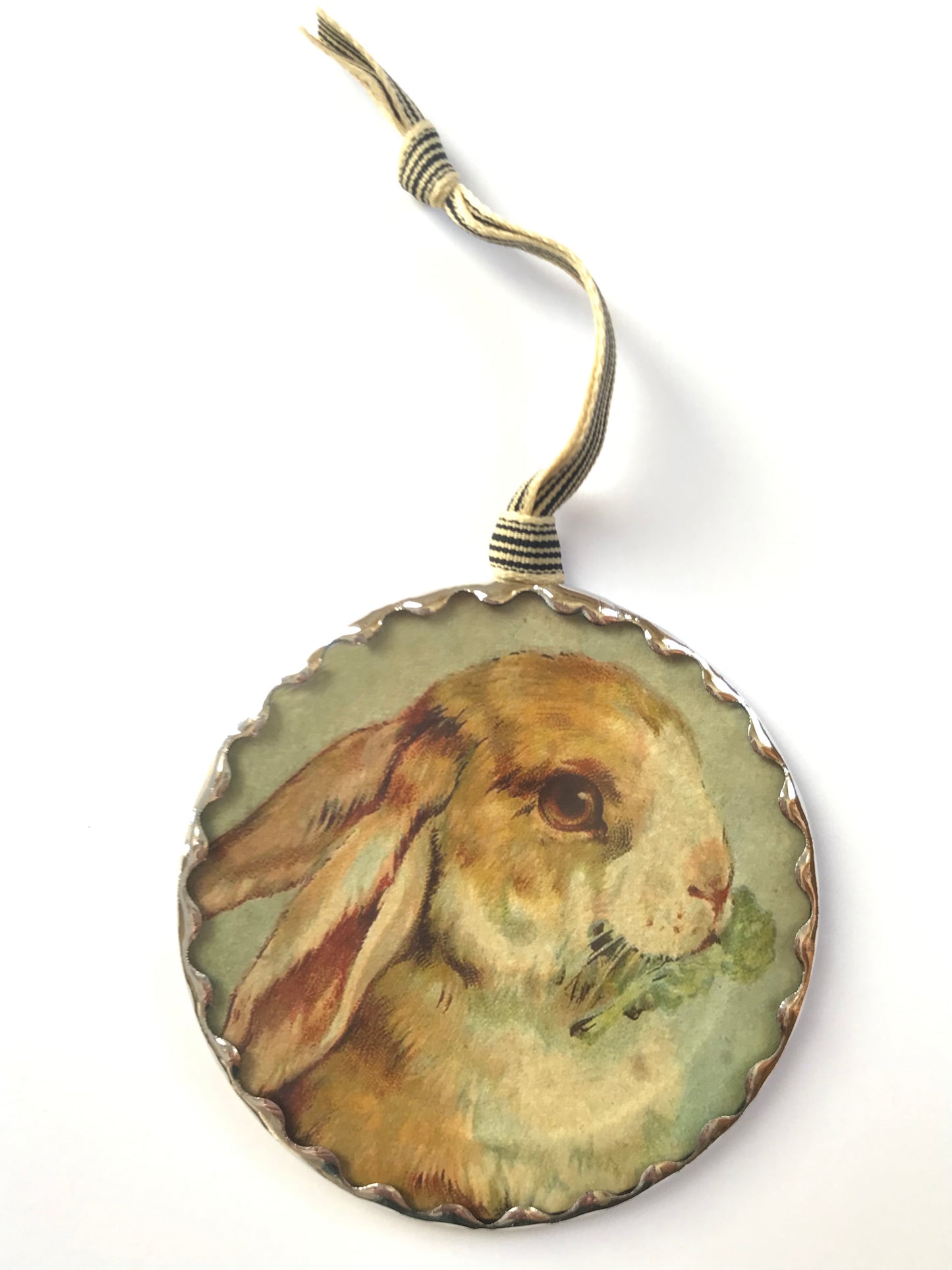 Lop-eared Bunny