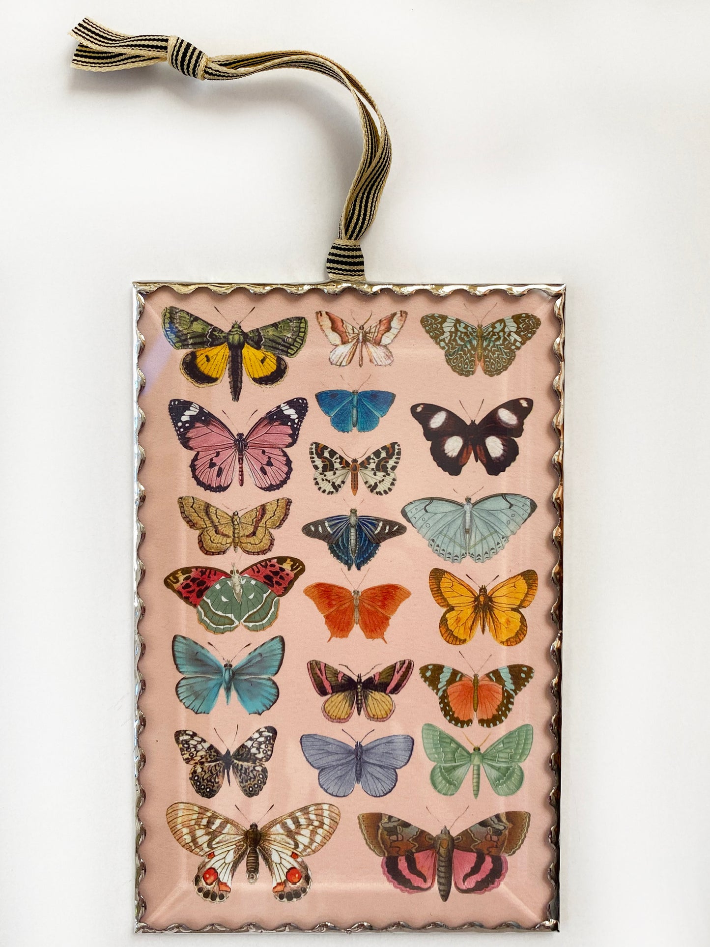 Bohemian Butterflies