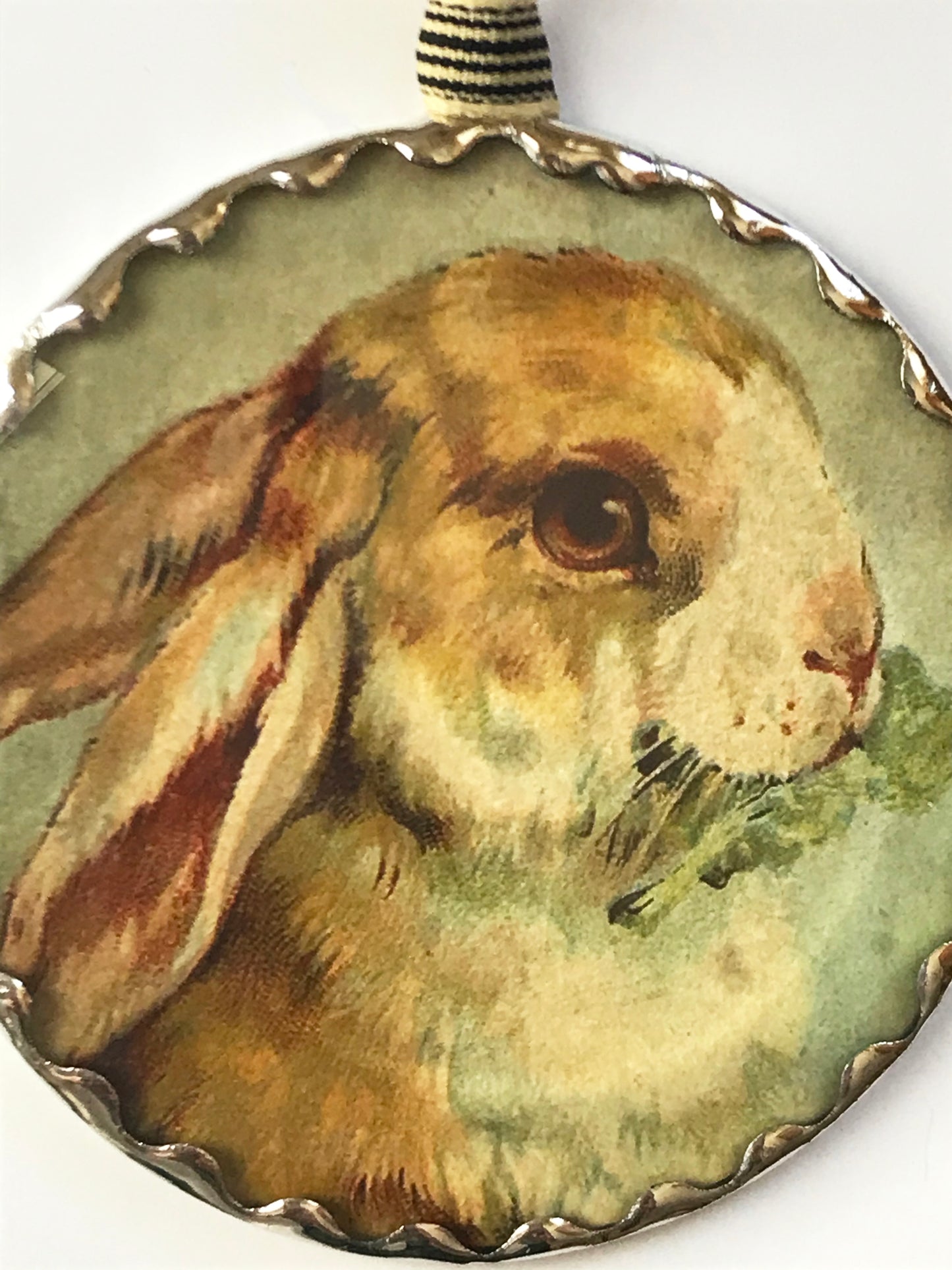 Lop-eared Bunny