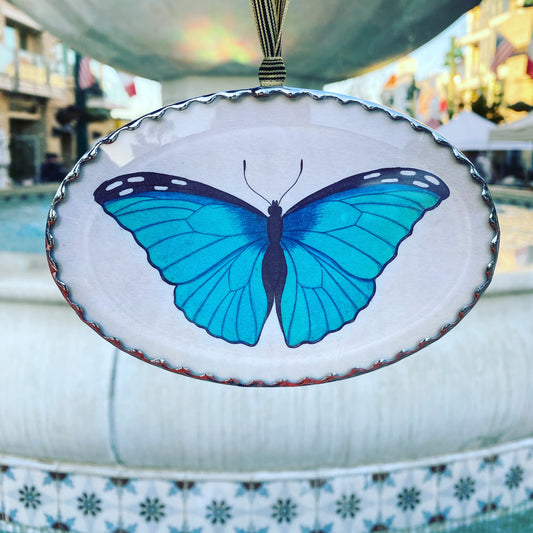 Blue Butterfly