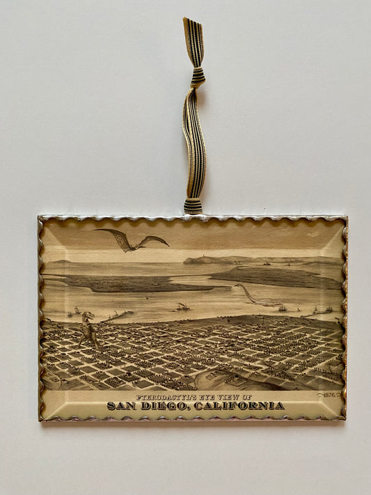 San Diego Pterodactyl Eye View 1876