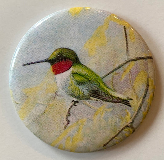 Hummingbird Magnet
