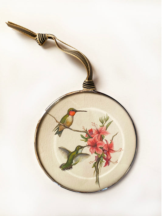 Hummingbirds