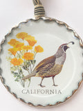 California State Bird & Flower
