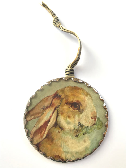 Lop-eared Bunny