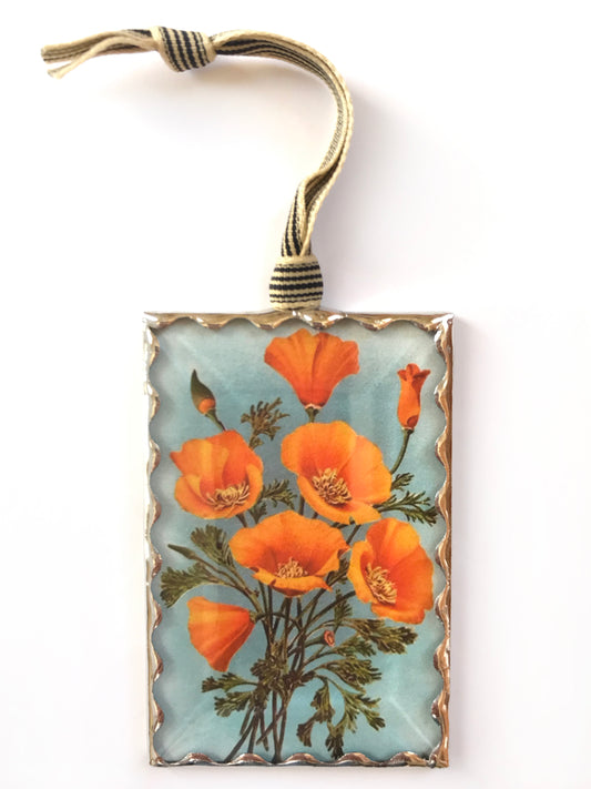 Colorful California Poppy